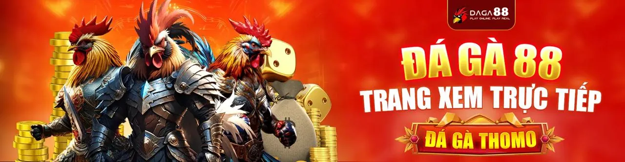 Sân đấu đá gà kịch tính trên f8beta2 app